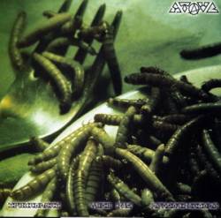 Staub : Staub - Front Beast